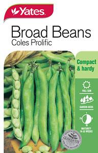 Seed - Yates Broad Bean - Coles Prolific A