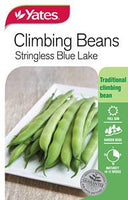Seed - Yates Climbing Bean Blue Lake C