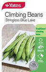 Seed - Yates Climbing Bean - Blue Lake C