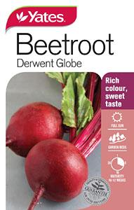 Seed - Yates Beetroot - Derwent Globe A