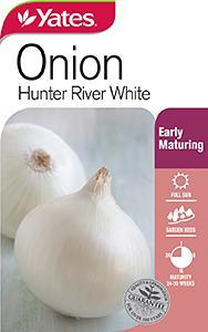 Seed - Yates Onion - Hunter River White