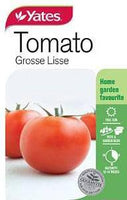 Seed - Yates Tomato Grosse Lisse A