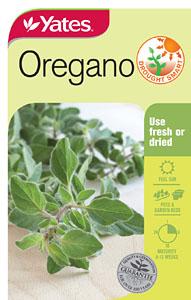 Seed - Yates Oregano