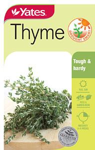 Seed - Yates Thyme B