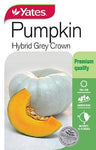 Seed - Yates Pumpkin - Sweet Grey