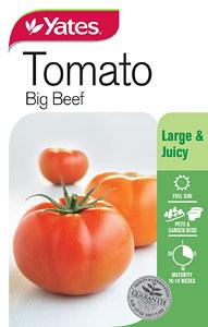 Seed - Yates Tomato Big Beef C