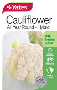 Seed - Yates Cauliflower All-Year-Round Hybrid