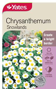 Seed - Yates Chrysanthemum Snowland