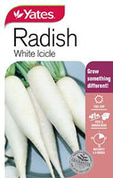 Seed - Yates Radish - Long White