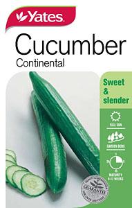 Seed - Yates Cucumber - Continental C