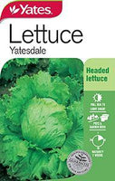Seed - Yates Lettuce - Yatesdale