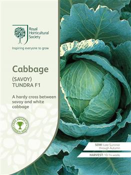 Seed - RHS Cabbage - Savoy Tundra F1