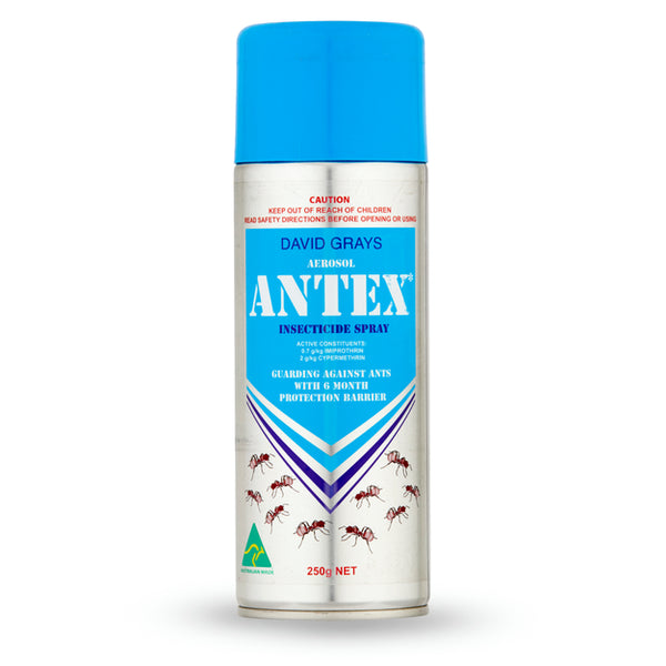 Antex Insecticide Spray Aero 250g