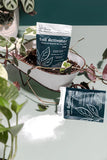 Home Plant Co Soil Activator 50g Sachet