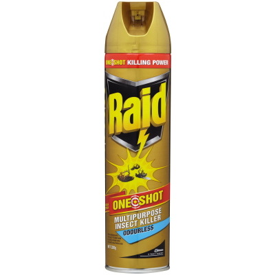 Raid Odourless Insect Killer One Shot 320g