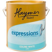 Haymes Ceiling White Expressions UP