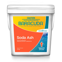 Soda Ash 2kg